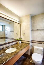 Gold Palm Mansion (D15), Apartment #297585811